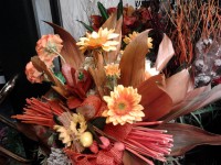 /album/galleria-foto-bouquet/a2011-10-07-19-32-27-jpg/